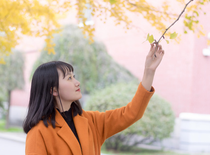 菲律宾大使馆最新事件(大使馆相关知识分享)